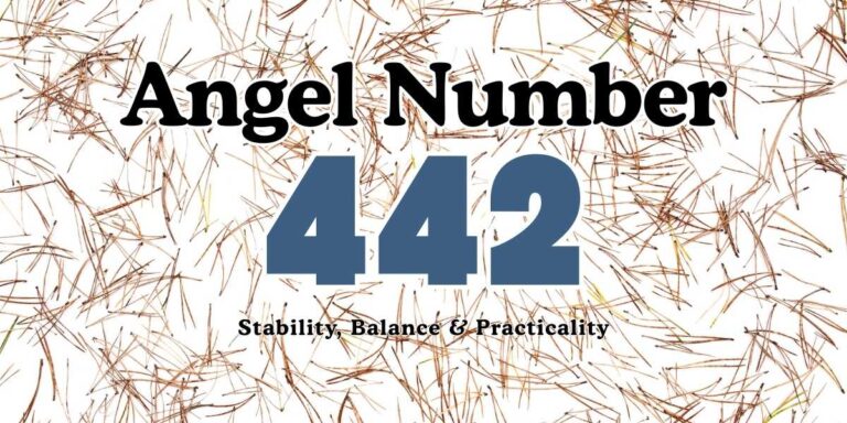 442 Angel Number Meaning Stability, Balance, & Practicality