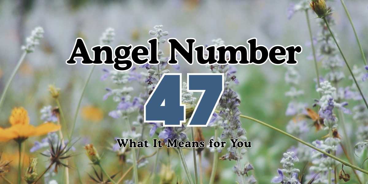 47 Angel Number Meaning What It Means for You